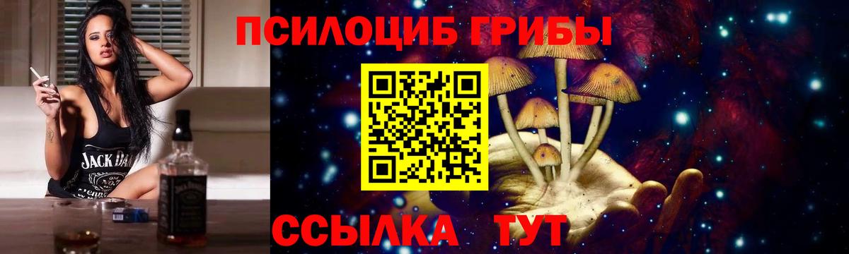 Тулун  наркота  Псилоцибиновые грибы ЛСД  Вход с VPN  Псилоцибиновые грибы ЛСД 